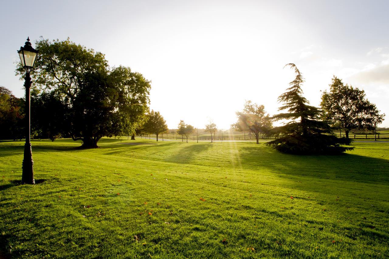 Moyvalley Hotel Self Catering Cottages エクステリア 写真